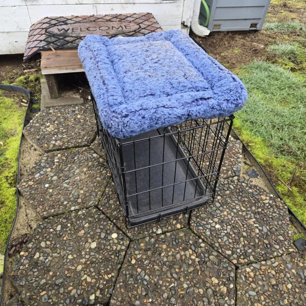 Small Pet Wire Kennel w/Pet Mat: 19